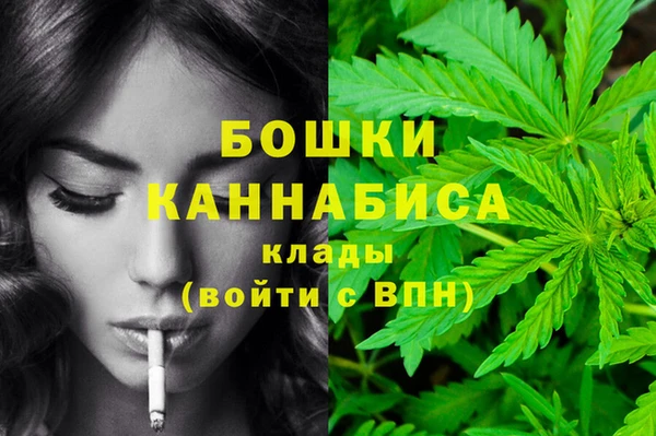 первитин Вяземский