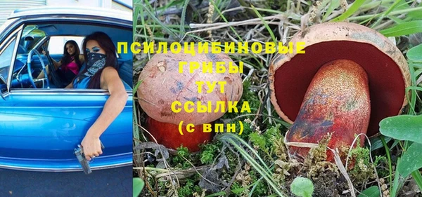 трава Володарск