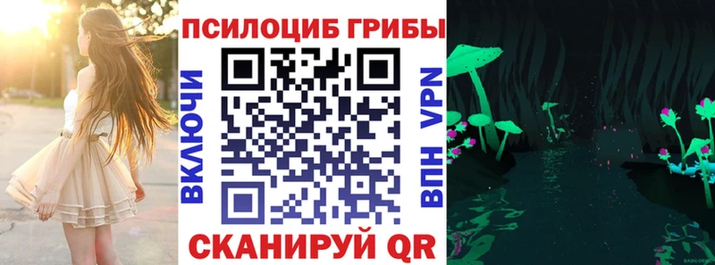где купить   Калтан  Псилоцибиновые грибы ЛСД 